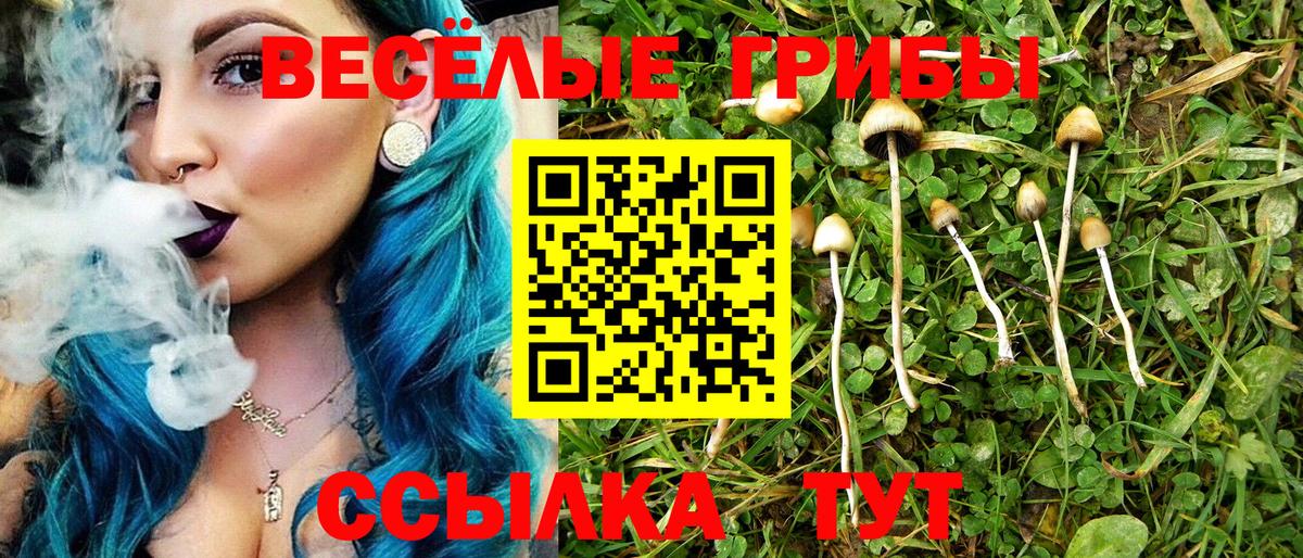 Морозовск  Галлюциногенные грибы ЛСД  Псилоцибиновые грибы Psilocybine cubensis  Вход с VPN 